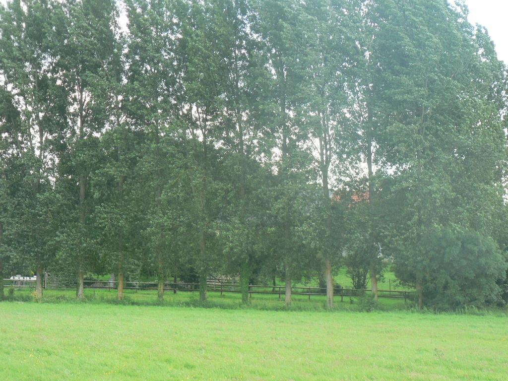Gite De L'Aure Trevieres Kültér fotó