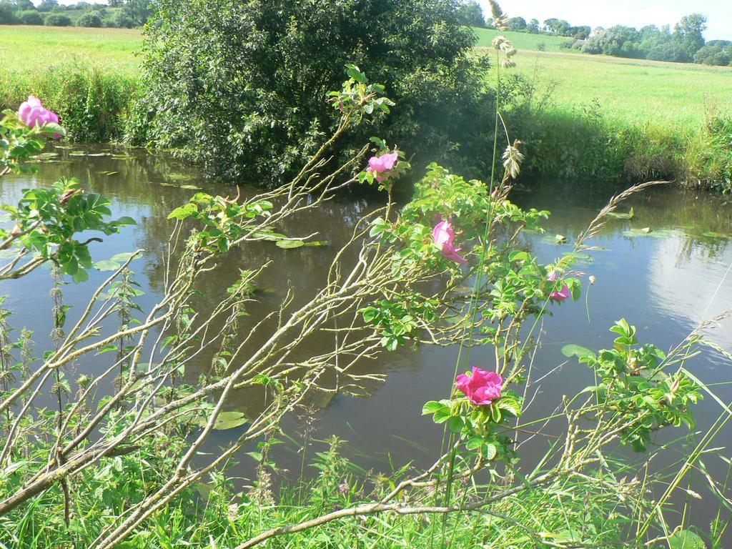 Gite De L'Aure Trevieres Kültér fotó